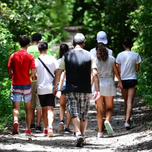 Group Of People Walking In The Forest In A Tour